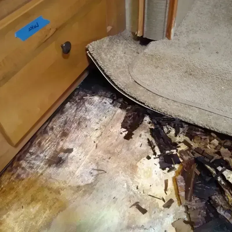 Wood Floor Water Damage in Saint Clair County, AL